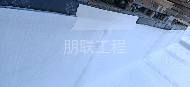 ED14高分子防护排水异形片