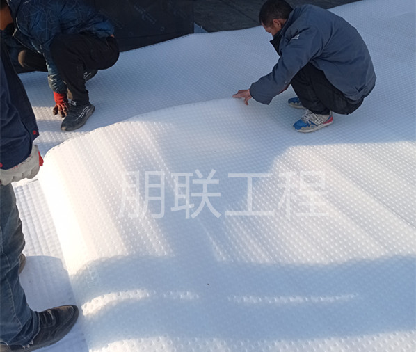 ED14高分子防护排水异形片